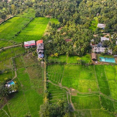Nelu Villa Sigiriya Eksteriør bilde