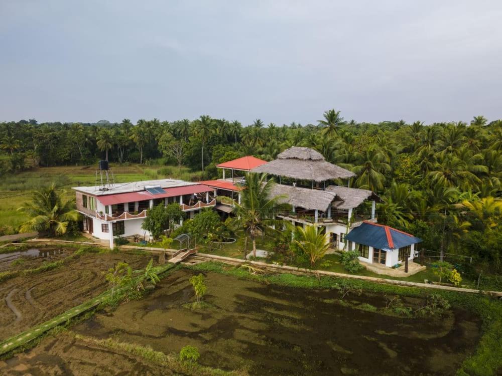 Nelu Villa Sigiriya Eksteriør bilde
