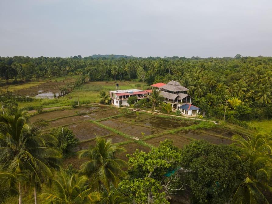 Nelu Villa Sigiriya Eksteriør bilde