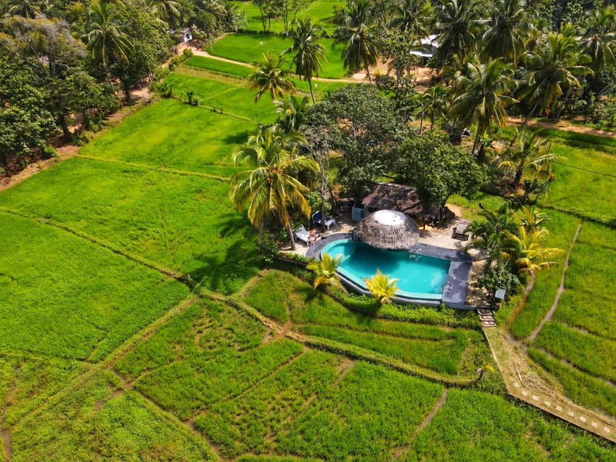 Nelu Villa Sigiriya Eksteriør bilde