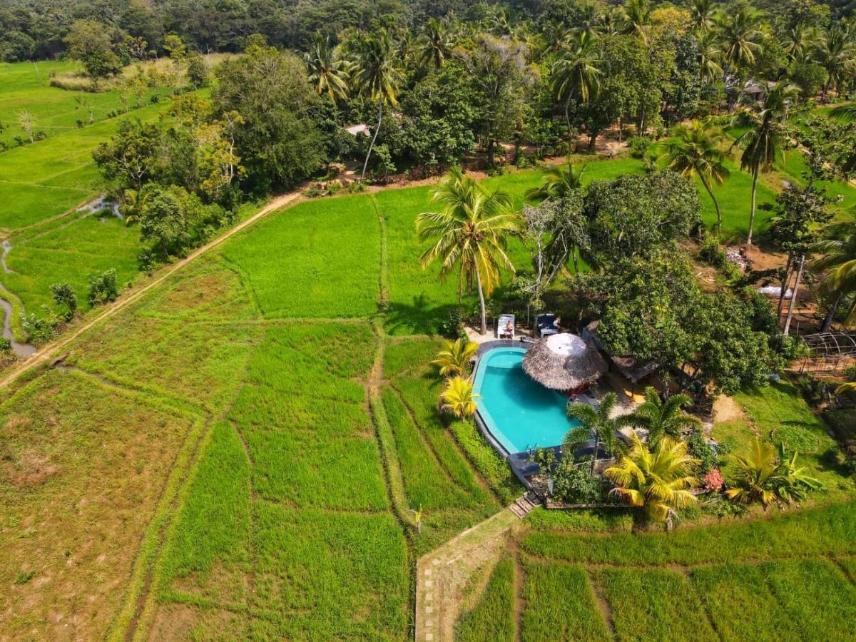 Nelu Villa Sigiriya Eksteriør bilde