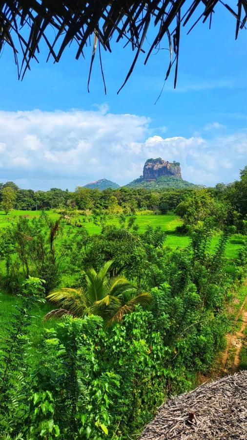 Nelu Villa Sigiriya Eksteriør bilde