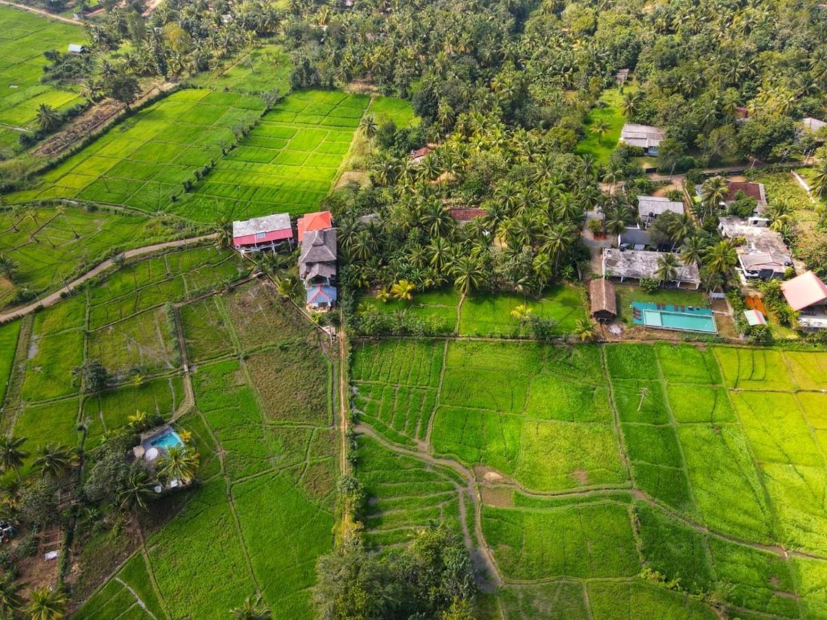 Nelu Villa Sigiriya Eksteriør bilde