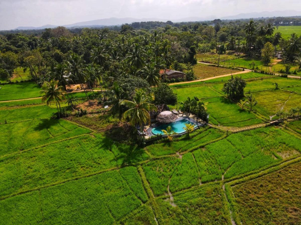 Nelu Villa Sigiriya Eksteriør bilde