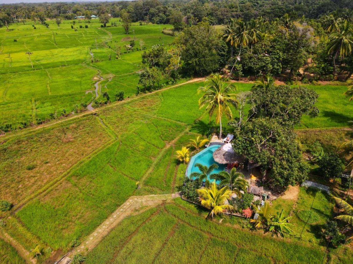 Nelu Villa Sigiriya Eksteriør bilde