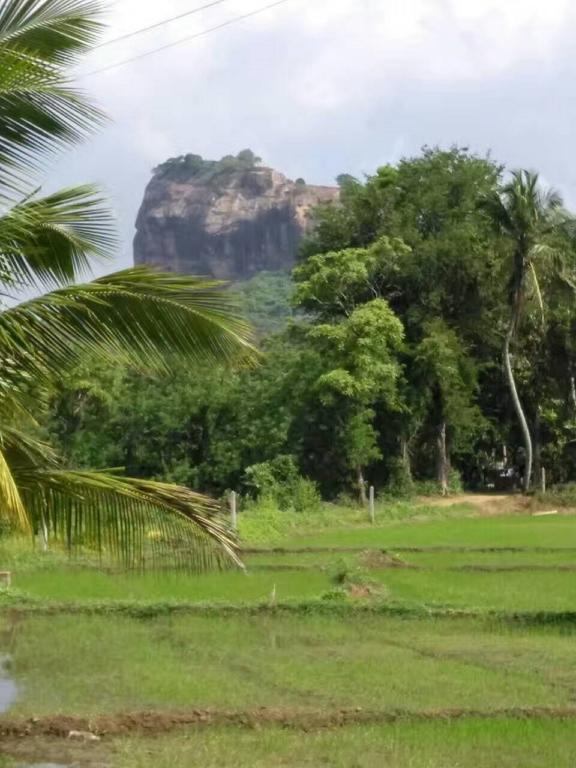 Nelu Villa Sigiriya Eksteriør bilde