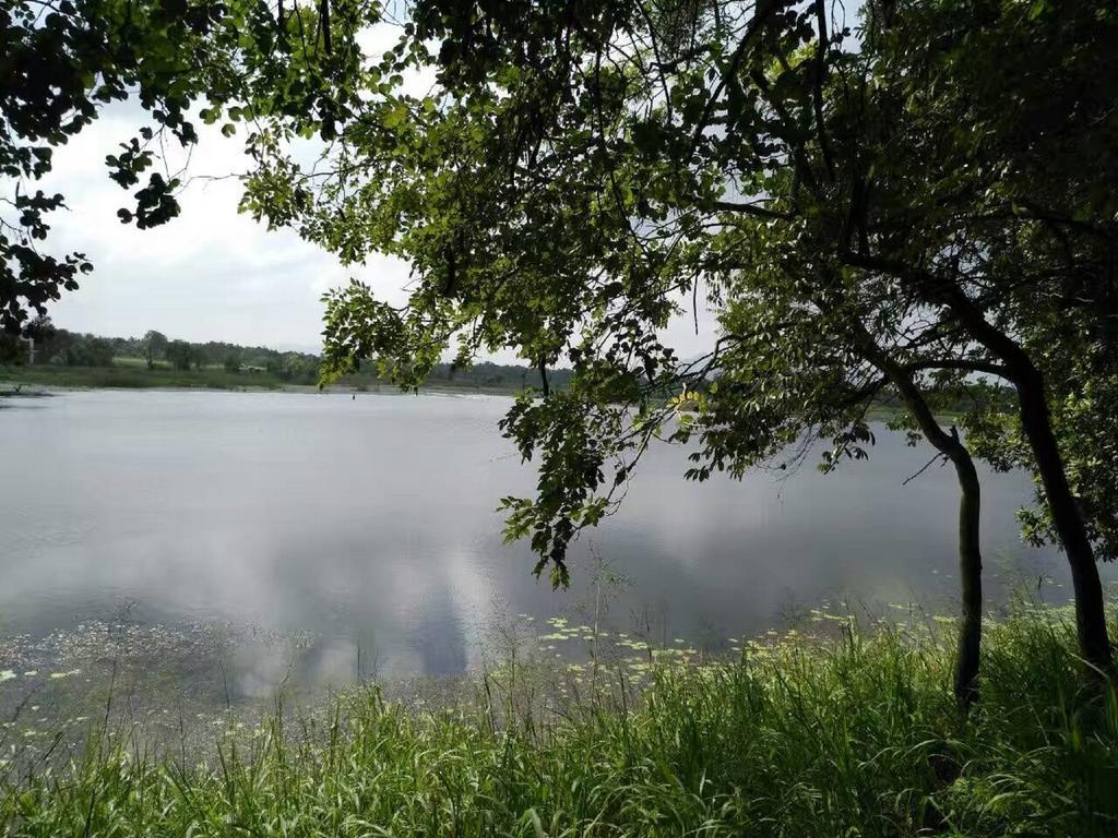 Nelu Villa Sigiriya Eksteriør bilde
