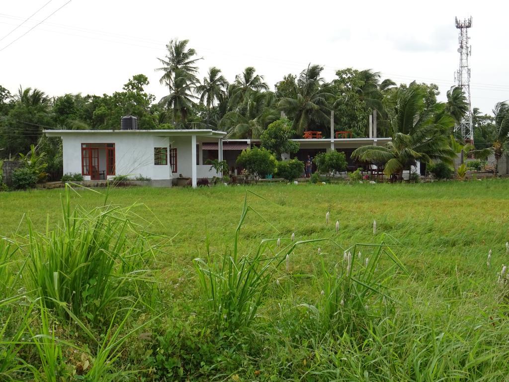 Nelu Villa Sigiriya Eksteriør bilde