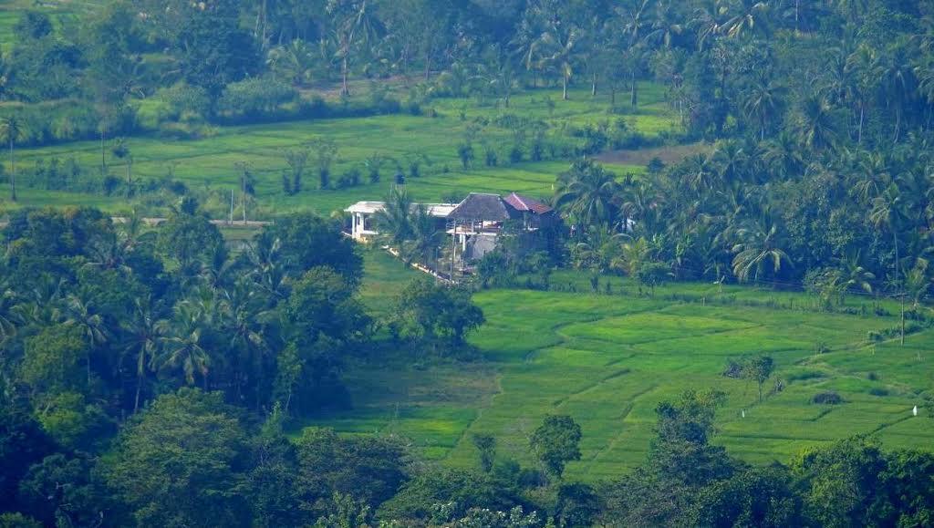 Nelu Villa Sigiriya Eksteriør bilde