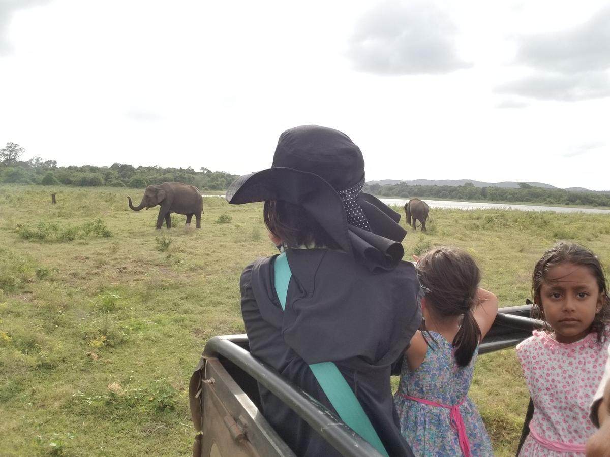 Nelu Villa Sigiriya Eksteriør bilde