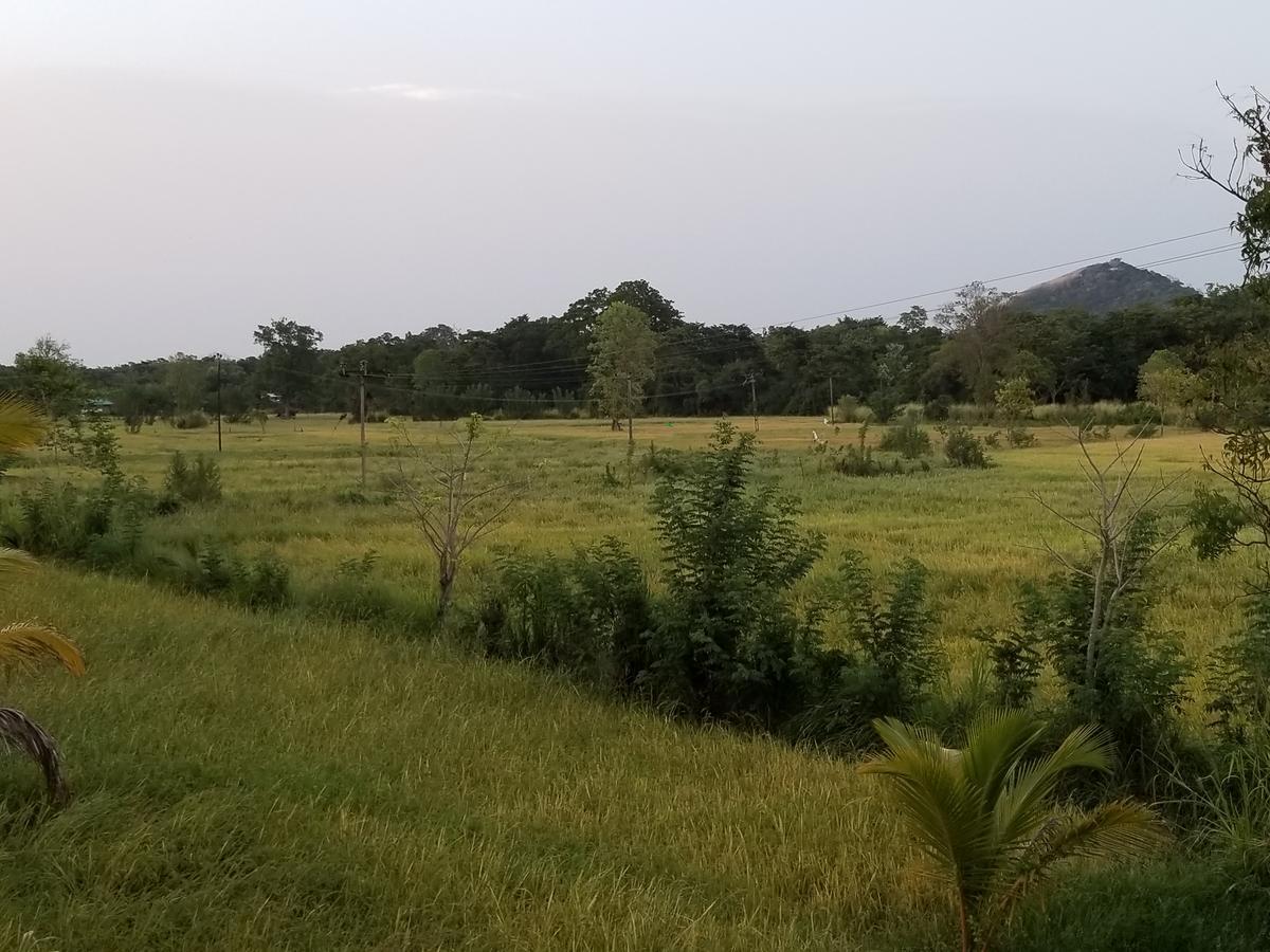 Nelu Villa Sigiriya Eksteriør bilde