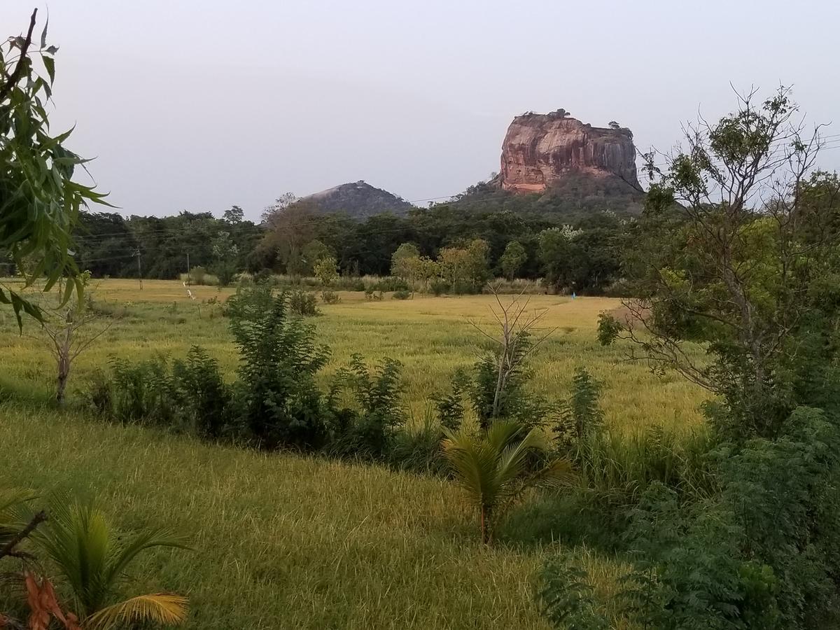 Nelu Villa Sigiriya Eksteriør bilde