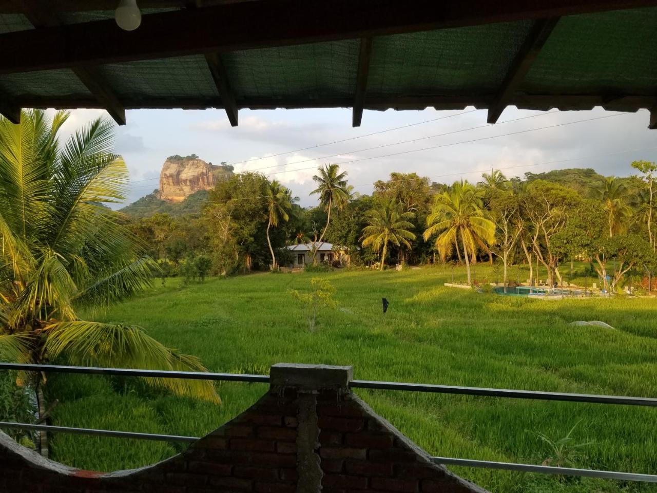 Nelu Villa Sigiriya Eksteriør bilde